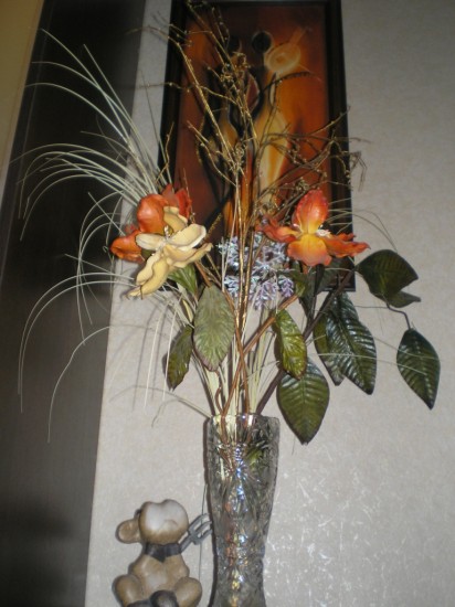 ��������