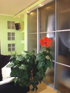 ���������