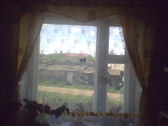 ��� �� ����