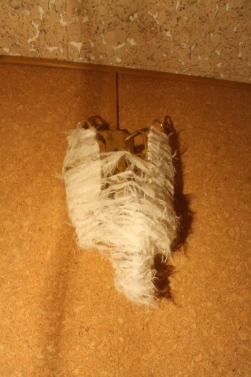 ����������� �������