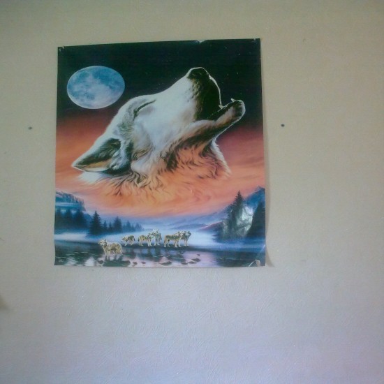 ��������� �����)