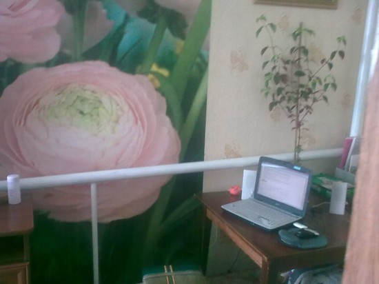 ������� ������ �������