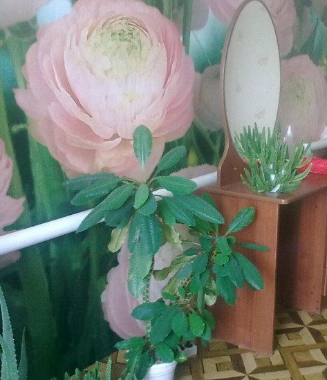 ������� ������