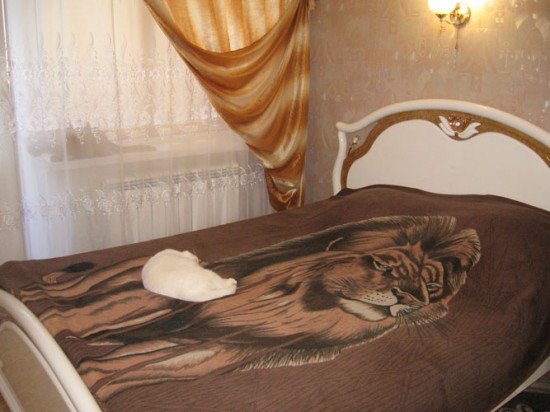 �������. �������