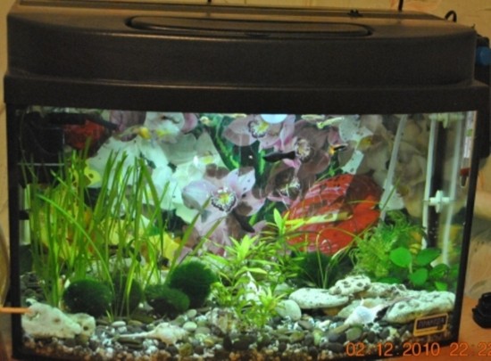 ��������