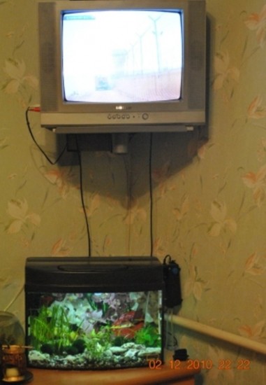 ������������� ����