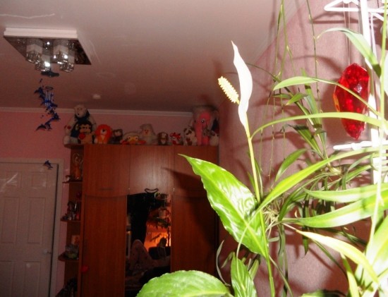 ���� ����� ��� �� ��������.