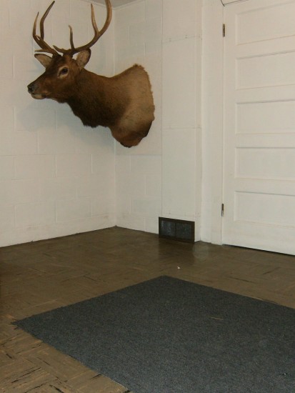 ��������� ��������