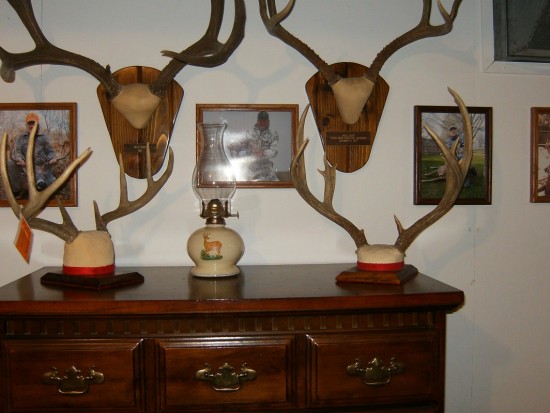 ��������� ������