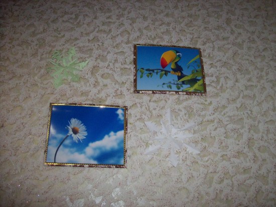 �������-������ ����� ���������