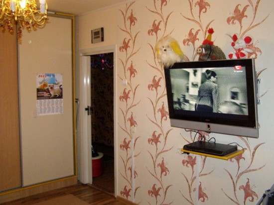 ���� � �������.