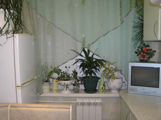 ����� ������