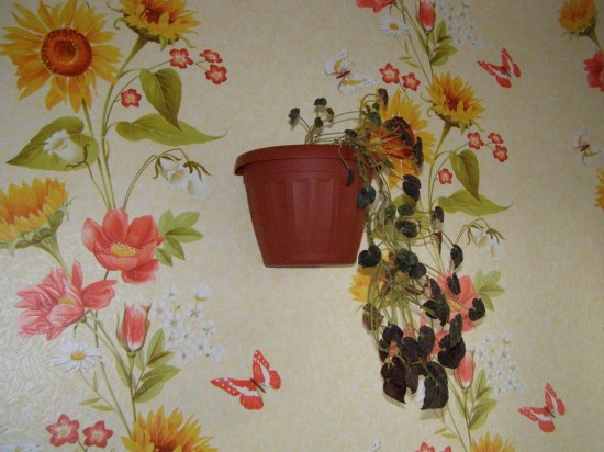 ������ �� ��������� �����.