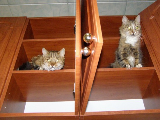 ��� ���� ��������?