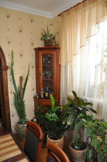 ������ ������