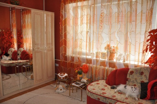 ����� ���