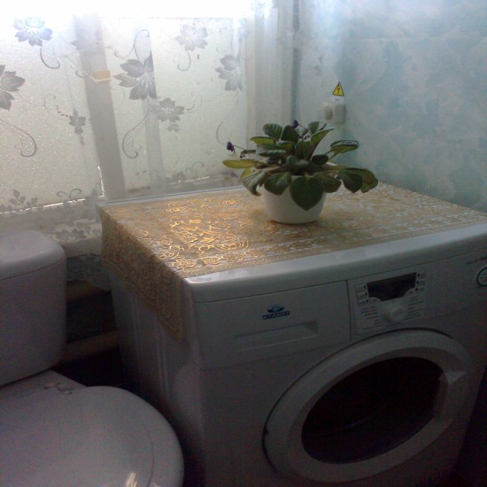 ����� ������ ����