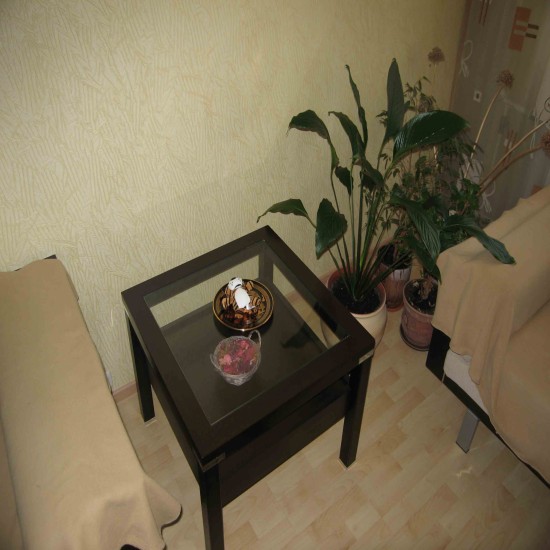 ������ ����� ��������