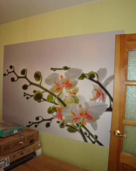 ������� ����� ���������