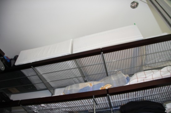 ������� �����