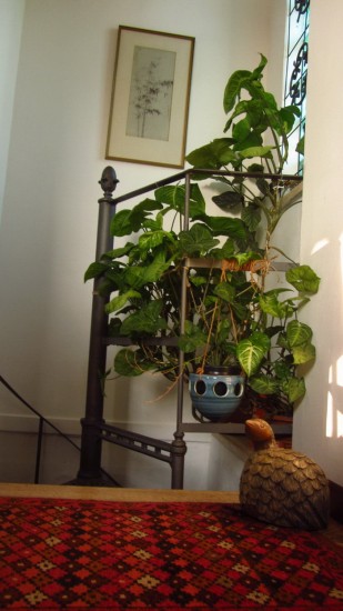 ��������� �������