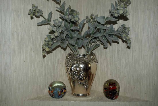 ���� �� ������������