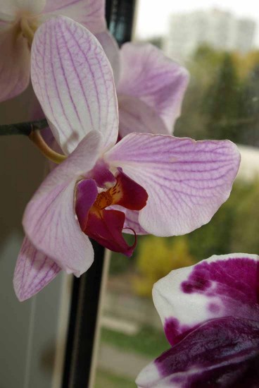 ����� �� ����