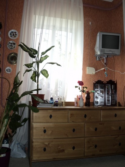 ���� �� ����� ������