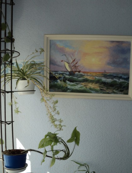 ������� ����