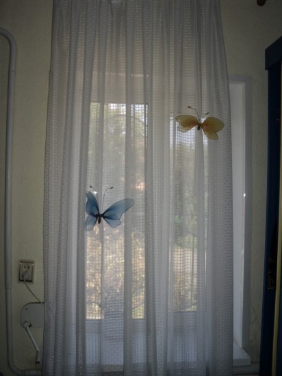 ����, �� ����.