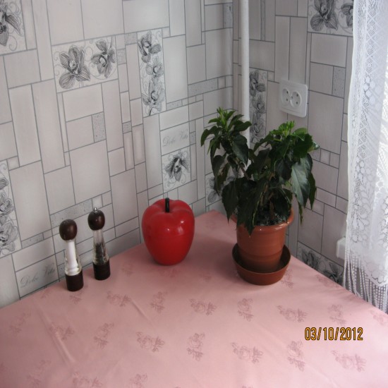 ��������� ����