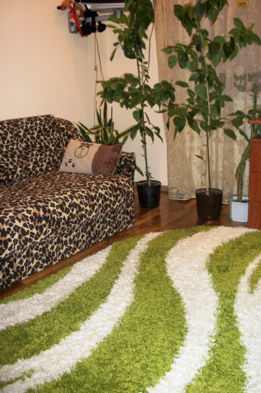 ��� � ������