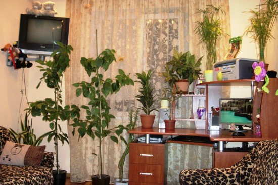 ����� �������� �������