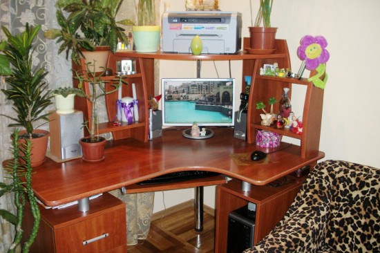 ������� ����