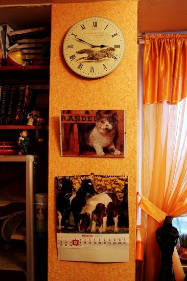 ����, ��������, ���������