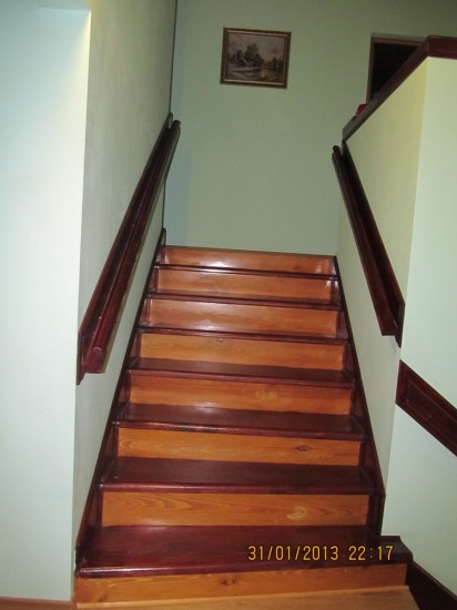 ������ ������