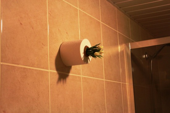 ����������.