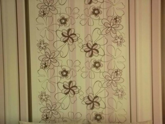 ��������������� ����: ������� + �����