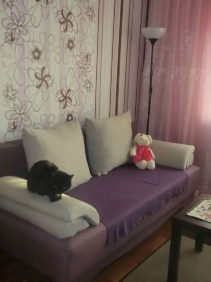 ���������� �����