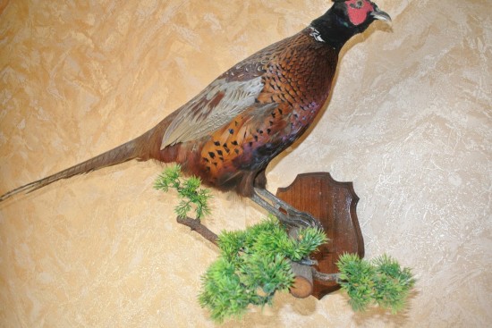 ������ �� �����