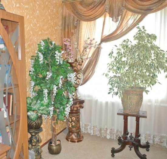 ����� � ���� ������ ���������