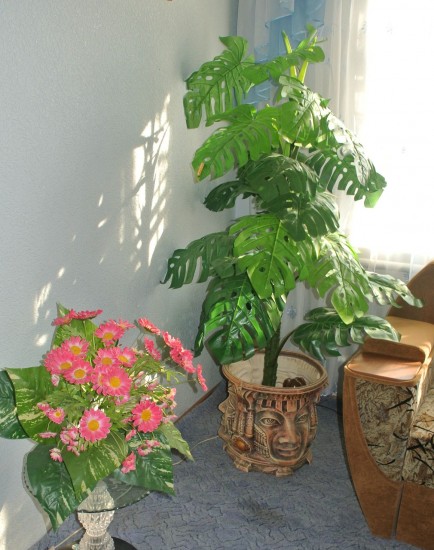 ������ � �����