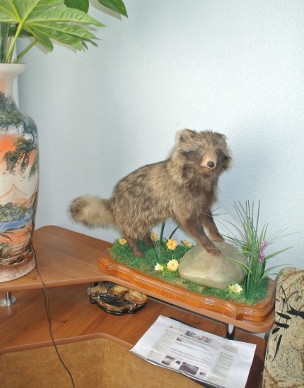 ������ ������