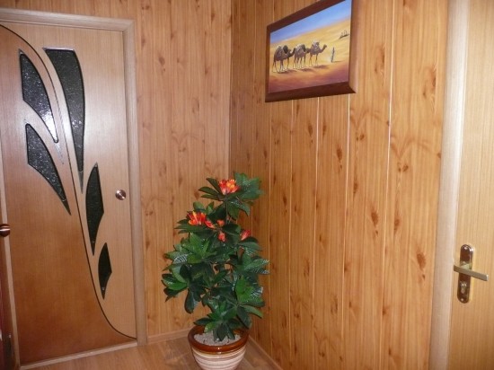 �������-����