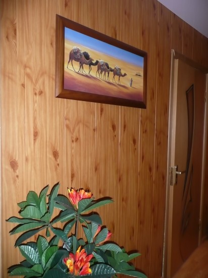 ��������-�����