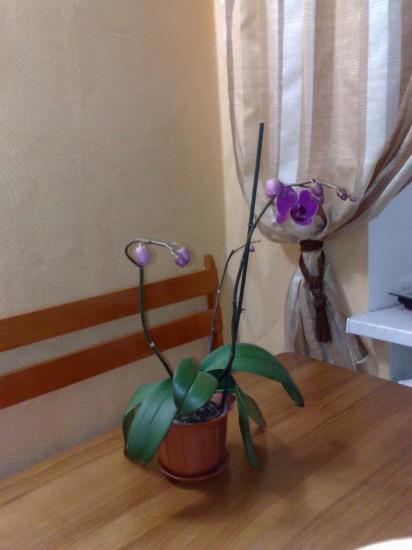 ���� � ��������� ����