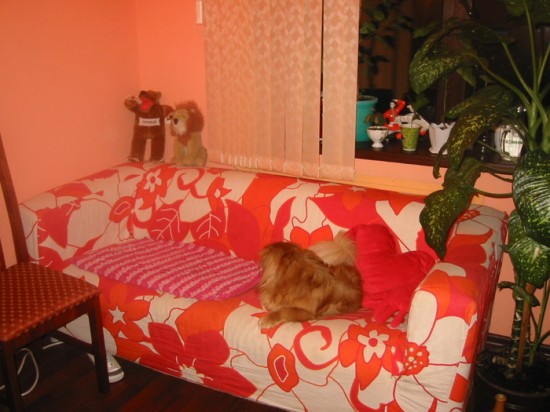 ������ ����� ��������