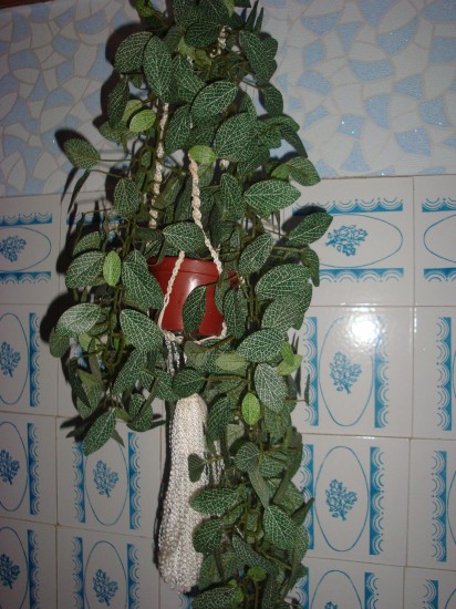 ��������� ��������