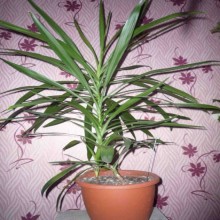 ������ � �����