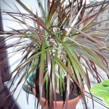 ������ �� ����